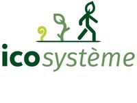LOGO ICOSYSTEME