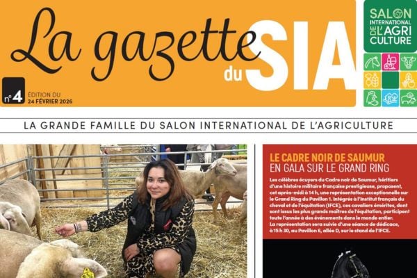 gazette-jour-quatre