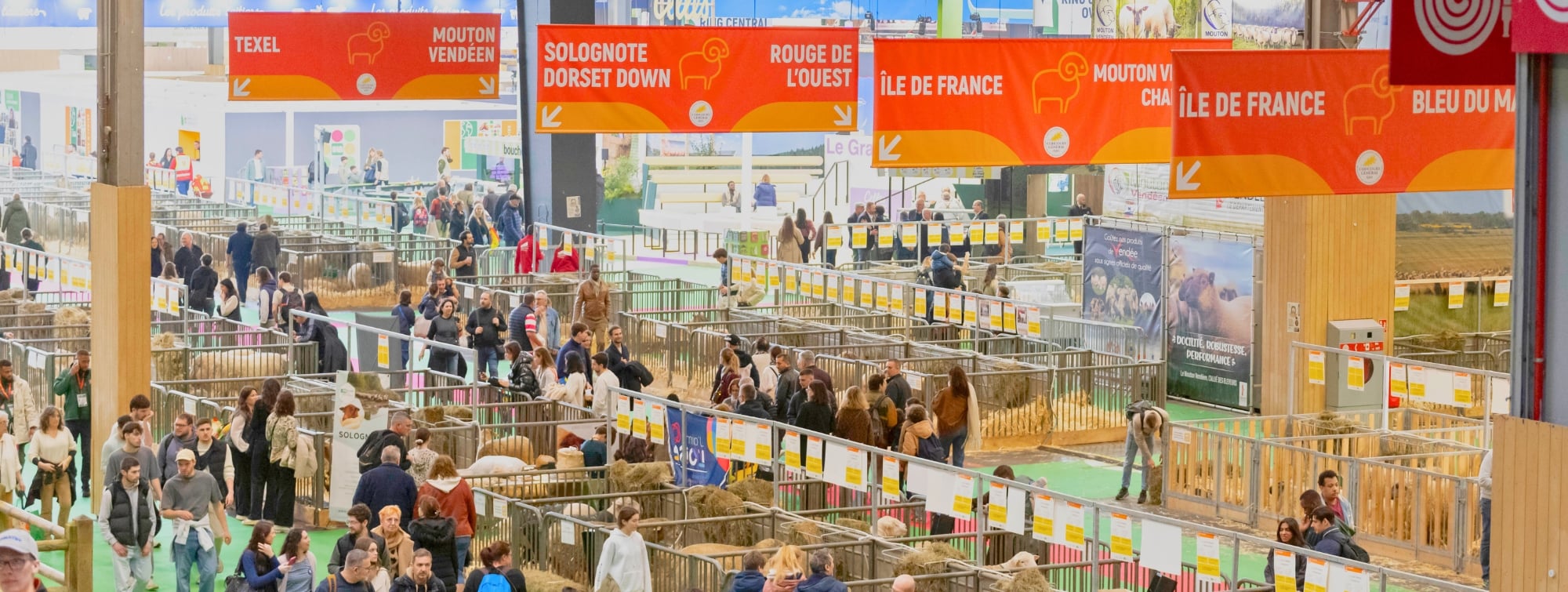 photo du pavillon 1 de dessus avec les visiteurs qui marchent dans les allées