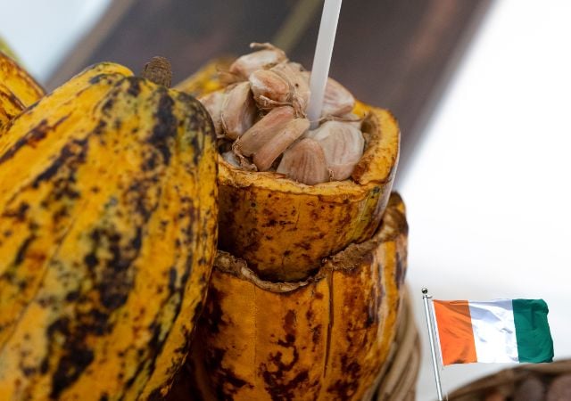 la côte d'ivoire est à l'honneur au sia 2026