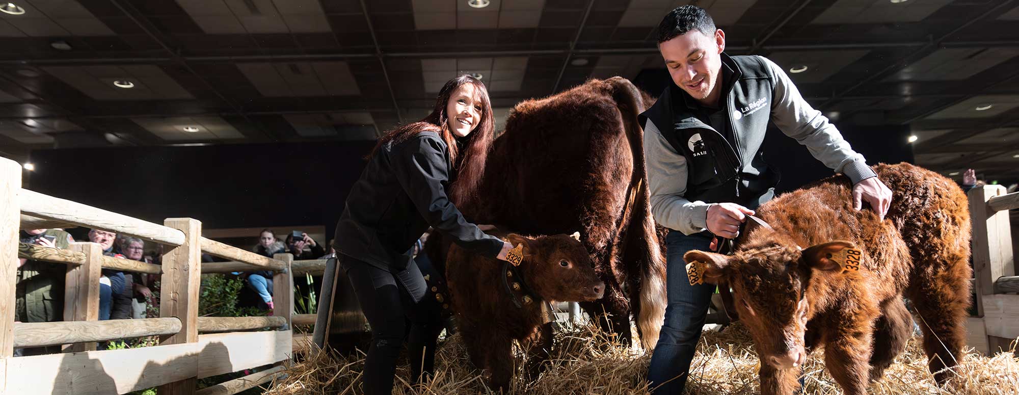 Eleveurs exposants dans l'enclos des vaches