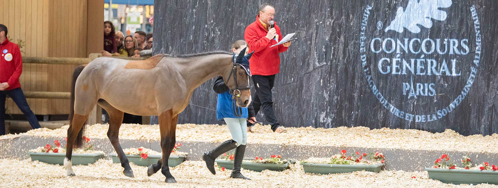 Cheval défilant au Concours général agricole des animaux