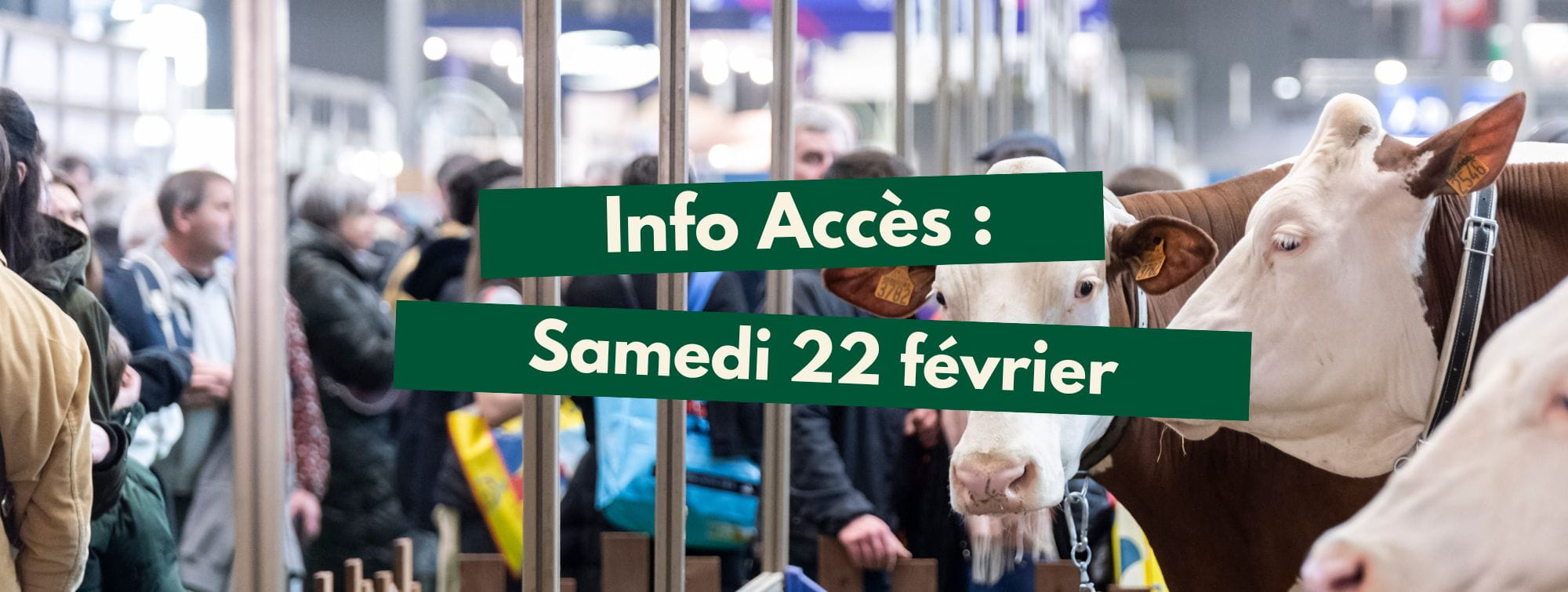 information-accès-samedi-22-février