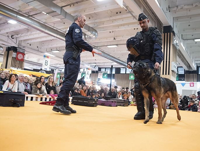 Démonstration du chien de la gendarmerie