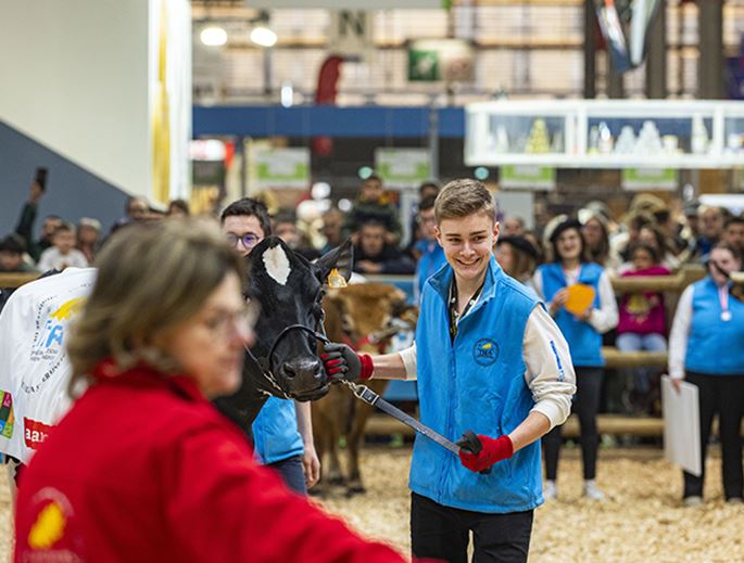 Garçon à côté d'une vache lors d'un concours