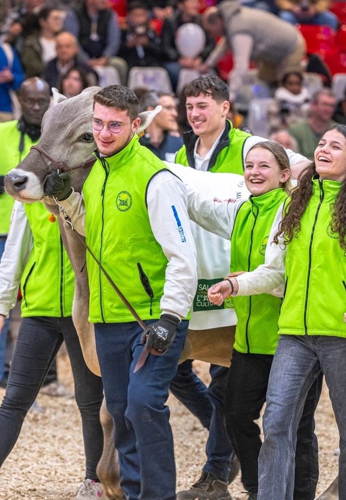 Garçon à côté d'une vache lors d'un concours