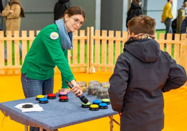 The awakening of the senses