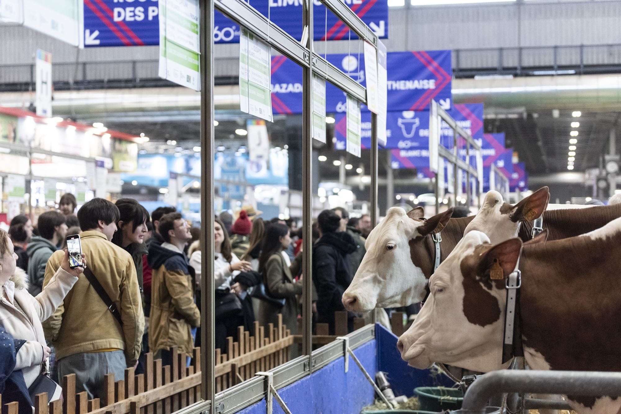 Stand avec des vaches entourées de visiteurs