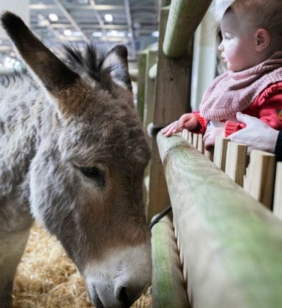 en-famille-ferme-pedagogique