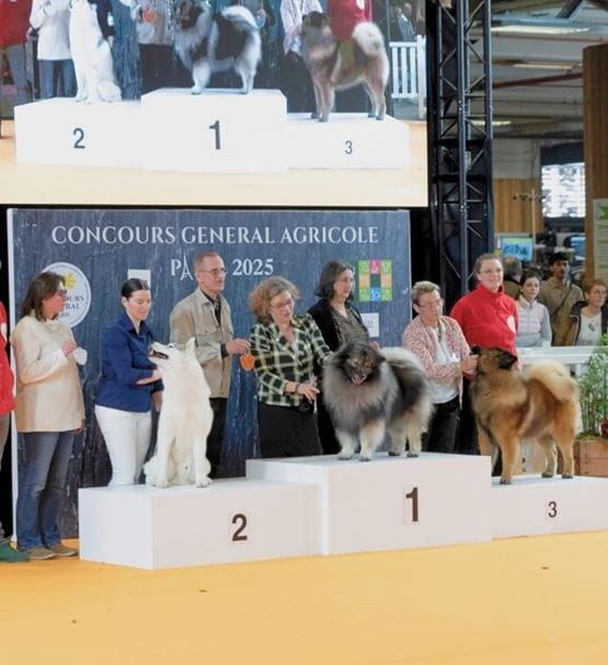 en-famille-podium-chiens-chats