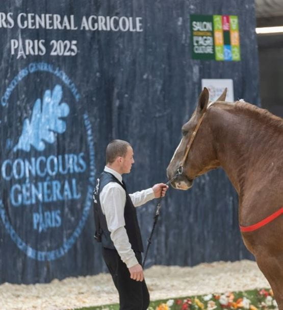 passionne-d-agriculture-concours-general-agricole
